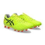 ASICS DS LIGHT X-FLY 5 PRO PARIS